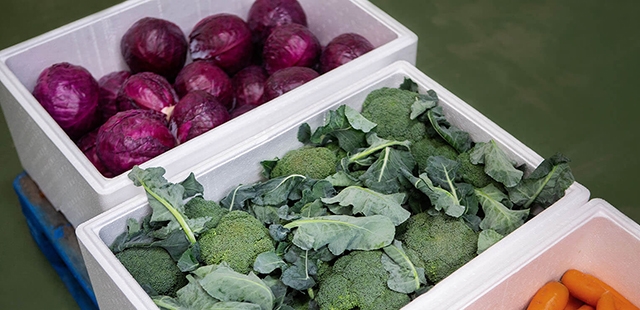 泡沫箱生產設備首先福建草莓视频cm.888tw在线观看機械的理由