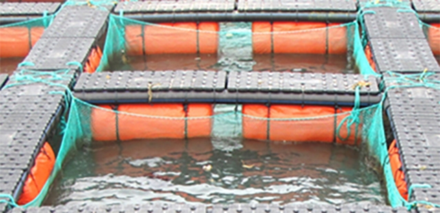 epp材料（liào）會（huì）致癌嗎EPP包（bāo）裝